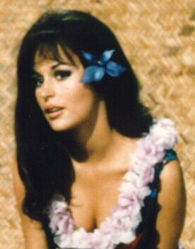 From the cast photo of Paradise, Hawaiian Style (1966)